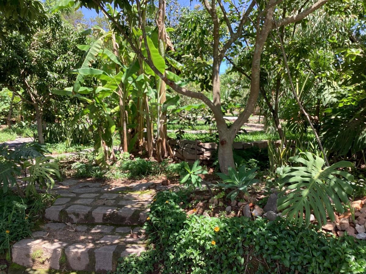 Villa Chezsoa, Ανταναναρίβο Εξωτερικό φωτογραφία