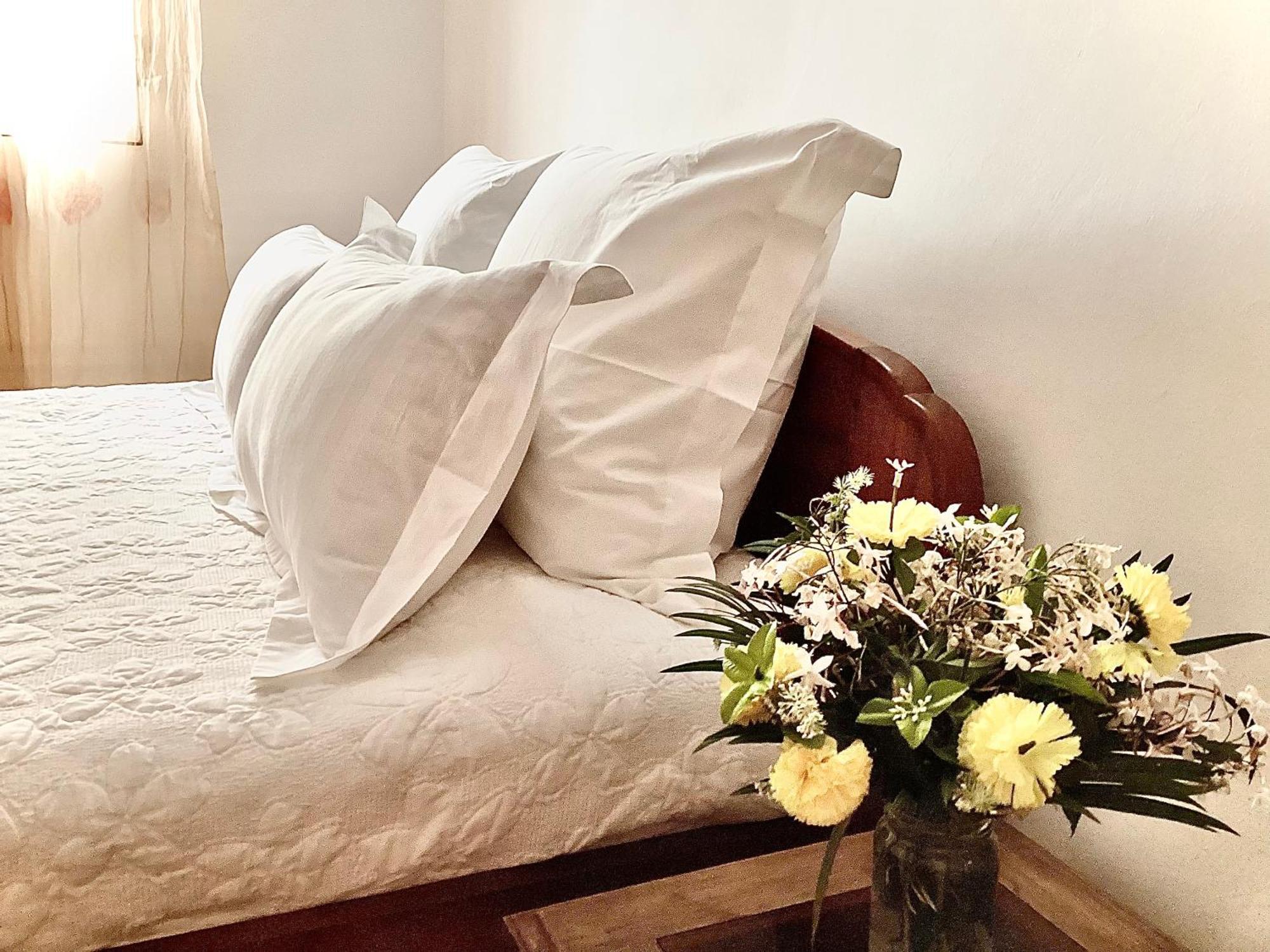 Villa Chezsoa, Ανταναναρίβο Εξωτερικό φωτογραφία